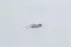 Лампа розжарювання 12V 2W W2x4, 6d PURE LIGHT BOSCH 1 987 302 218 (фото 1)