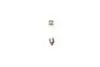 Лампочка Pure Light C5W (тип гнізда: SV8,5-8) BOSCH 1 987 302 225 (фото 2)