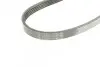 Ремень генератора VW Golf V/Passat/Touran 1.4TSI 05-/Skoda Fabia 1.4 TSI RS 10-14 (5PK491) BOSCH 1987945731 (фото 4)