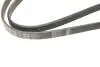 Ремень генератора Toyota Avensis/Corolla 2.0D-4D 04-09 (5PK1250) BOSCH 1 987 946 001 (фото 4)