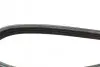 Ремінь генератора Renault Twingo 1.2 93-96 (4PK1165) BOSCH 1 987 946 008 (фото 4)