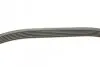 Ремень генератора VW Caddy/Golf 1.9-2.0 TDI 03-10/Peugeot Boxer 2.8HDi 00- (6PK950) BOSCH 1 987 946 024 (фото 2)
