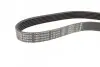 Ремінь генератора Nissan Micra 1.0-1.4i 16V 92-03 (6PK675) BOSCH 1 987 946 025 (фото 3)