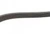 Ремень генератора MB W202/203/VW/Audi 2.4/2.8i (6PK1760) BOSCH 1 987 946 037 (фото 3)