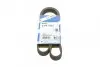 Ремень генератора поликлиновый Nissan Almera 2.0 00-03/ Primera 2.0 16V 96-01 (6PK1030) BOSCH 1 987 946 051 (фото 1)
