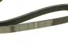 Ремень генератора поликлиновый Nissan Almera 2.0 00-03/ Primera 2.0 16V 96-01 (6PK1030) BOSCH 1 987 946 051 (фото 4)