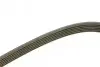 Ремень генератора Opel Frontera B 2.2 98-04 (6PK1850) BOSCH 1 987 946 080 (фото 3)