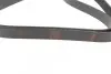 Ремень генератора Opel Combo/Astra G 1.7DTi 01-/VW T4 2.0 90-03/Ford Mondeo 2.5 94-00 (6PK1590) BOSCH 1 987 946 096 (фото 2)