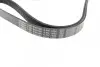 Ремень генератора Opel Combo/Astra G 1.7DTi 01-/VW T4 2.0 90-03/Ford Mondeo 2.5 94-00 (6PK1590) BOSCH 1 987 946 096 (фото 3)