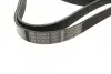 Ремень генератора поликлиновый VW Golf/BMW/Ford/Opel (6PK1540) BOSCH 1 987 946 099 (фото 2)
