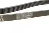 Ремень генератора VW T5/Golf 2.3-3.2 V6 03-09/Audi A4/A6/Q5 2.0TDI 08-17 (6PK1264) BOSCH 1 987 946 102 (фото 2)