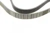 Ремень генератора VW T5/Golf 2.3-3.2 V6 03-09/Audi A4/A6/Q5 2.0TDI 08-17 (6PK1264) BOSCH 1 987 946 102 (фото 3)