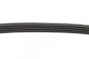 Ремінь генератора Ford Fiesta/Fusion 1.25/1.4/1.6 01-12 (5PK690) BOSCH 1 987 946 141 (фото 4)