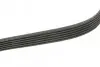 Ремень генератора Audi A3/Skoda Octavia/VW Passat B8 1.6TDI/2.0TDI 12-/Caddy 2.0TDI 15- (6PK799) BOSCH 1 987 946 144 (фото 3)