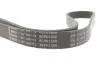 Ремінь генератора Ford Focus II/C-Max/Volvo C30/S40 II/V50 1.8/2.0 04-12 (6PK1249) BOSCH 1 987 946 173 (фото 4)