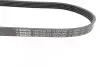 Ремень генератора Ford Focus 1.4/1.6i 03- (6PK1059+5PK868) К-кт BOSCH 1 987 946 196 (фото 3)
