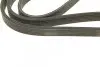 Ремень генератора Volvo C70/S40/S60/S80/V40/V70/XC70/XC90 95-14 (6PK1841) BOSCH 1 987 946 208 (фото 4)
