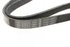 Ремень генератора VW Caddy III/Golf III/Passat/T4 1.9D/TD (TP) (6PK1050) BOSCH 1 987 946 240 (фото 2)