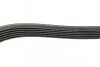Ремінь генератора Fiat Bravo 1.6/2.0D 07-14/Croma 1.9D 05- (6PK1395) BOSCH 1 987 946 241 (фото 4)