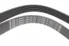 Ремінь генератора Renault Megane/Scenic 1.4 09-/Honda Accord/CR-V 2.2 i-CTDi 04- (7PK1785) BOSCH 1 987 946 256 (фото 3)