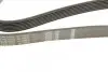 Ремень генератора Honda Accord/Civic/CR-V 1.8/2.0 05- (7PK1535) BOSCH 1 987 946 272 (фото 4)