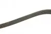 Ремінь генератора Citroen Jumpy 2.0HDI 10- (6PK1245) BOSCH 1987946280 (фото 3)