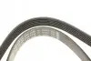 Ремінь генератора Citroen Jumpy 2.0HDI 10- (6PK1245) BOSCH 1987946280 (фото 4)