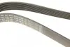 Ремень генератора Audi A8 3.7/4.2 quattro 02-10/VW Phaeton 4.2 V8 4motion 03-16 (7PK2535) BOSCH 1 987 946 284 (фото 4)