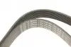 Ремень генератора Audi A8 3.7/4.2 quattro 02-10/VW Phaeton 4.2 V8 4motion 03-16 (7PK2535) BOSCH 1 987 946 284 (фото 5)