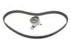 Комплект ГРМ Toyota Corolla 1.6 92-00/Avensis 1.6 97-00 (21x117z) 1 987 946 323