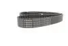 Ремінь ГРМ Audi A3/A4/A6/A7/Q2/Q3/Q5/Skoda Octavia/VW Golf VIII 2.0D/2.0DH 15- (25x149z) BOSCH 1 987 946 822 (фото 4)