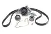 Комплект ГРМ + помпа Audi A4/A6/VW Passat 2.4-2.8 95-05 (30x253z) BOSCH 1 987 946 924 (фото 1)