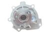 Комплект ГРМ + помпа Opel Astra J/Insignia A/Mokka/Zafira 1.6-1.8 08- (24x146z) BOSCH 1 987 946 956 (фото 5)