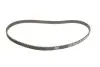 Комплект ГРМ + помпа VW Caddy II/Golf III 1.4 91-97 (19x135z) BOSCH 1987946994 (фото 2)