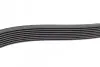 Ремінь генератора MB Axor 2 (OM926) 04- (8PK1635) BOSCH 1 987 947 056 (фото 4)