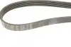 Ремень генератора Fiat Scudo 1.6D Multijet 07-/Ford Focus 1.8CDTi 04-12/Opel Corsa 06- (6PK1360) BOSCH 1 987 947 554 (фото 4)