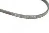 Ремінь генератора Honda CR-V 2.0 16V 4WD 95-02/Subaru Forester/Impreza/Legacy 1.5-2.5 92-09 (4PK895) BOSCH 1 987 947 559 (фото 5)