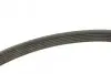 Ремень генератора Peugeot Partner 1.6 VTi 08-/Renault Kangoo/Scenic 1.5dCi/1.6 13- (6PK1205) BOSCH 1 987 947 577 (фото 2)