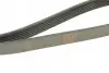 Ремень генератора Peugeot Partner 1.6 VTi 08-/Renault Kangoo/Scenic 1.5dCi/1.6 13- (6PK1205) BOSCH 1 987 947 577 (фото 3)