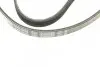 Ремінь генератора Citroen Jumper 1.9TD 94-02 (4PK698) BOSCH 1 987 947 803 (фото 5)
