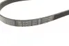 Ремень генератора поликлиновый Fiat Scudo 2.0 JTD 99-06 (5PK970) BOSCH 1 987 947 812 (фото 3)