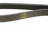 Ремень генератора Lada Kalina 1.4 08-13/ MB 190 (W201) 2.0-82-93/ 210-410 2.9 -96 BOSCH 1 987 947 817 (фото 4)