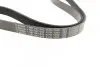 Ремень генератора VW Crafter 2.0TDI 11-16/Golf 1.4/1.6 97-05/Audi A1/A2/A4 1.4-2.0 01-18 (6PK1080) BOSCH 1 987 947 842 (фото 3)