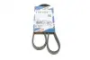 Ремень генератора Renault Mascott 99-05/Iveco Daily 99-06/Mazda 323 89-96/MX-3 93-98 (4PK1015) BOSCH 1 987 947 860 (фото 1)