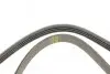 Ремень генератора Renault Mascott 99-05/Iveco Daily 99-06/Mazda 323 89-96/MX-3 93-98 (4PK1015) BOSCH 1 987 947 860 (фото 4)