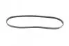Ремень генератора Renault Kangoo/Clio 1.2i 97-/Fiat Scudo 1.6i 96-06/Nissan Kubistar 1.2 03- (4PK905) BOSCH 1 987 947 899 (фото 5)