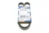 Ремінь генератора Opel Astra/Vectra 1.4/1.6i 88-95 (5PK990) BOSCH 1 987 947 920 (фото 1)