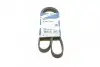 Ремень генератора поликлиновый Renault Kangoo 1.4i 98-/ 1.6i 02- (5PK1110) BOSCH 1 987 947 926 (фото 1)