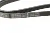 Ремень генератора Renault Trafic/Master/Laguna/Opel Movano/Vivaro 1.9dCi 01- (5PK1125) BOSCH 1 987 947 927 (фото 2)
