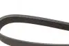 Ремень генератора Renault Trafic/Master/Laguna/Opel Movano/Vivaro 1.9dCi 01- (5PK1125) BOSCH 1 987 947 927 (фото 4)